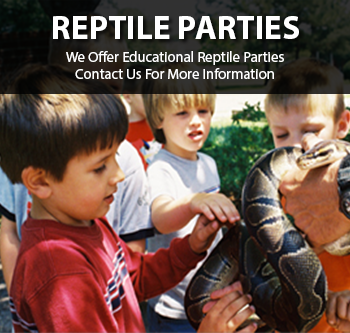 Reptile Parties